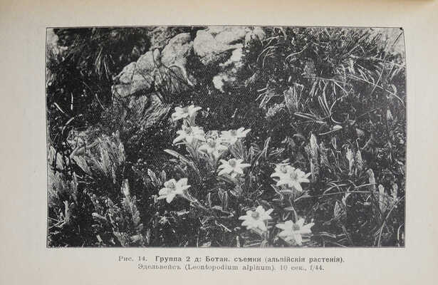 Шульц Г. Э. Ф. Фотография с природы. Практические наставления для учащихся и любителей. СПб., 1913.